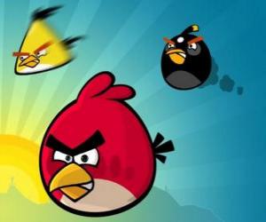 yapboz Üç Angry Birds kuşlar
